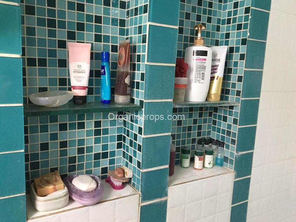 WhatsApp Image 2022-12-13 at 620221213190010314.jpeg